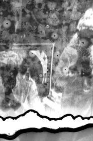 Hummingbird movie poster