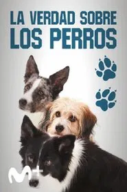 Dog Tales movie poster
