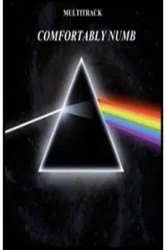 Pink Floyd - Comfortably Numb movie poster