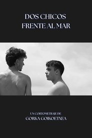 Poster do filme Dos Chicos Frente al Mar
