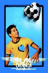 Poster do filme Asa Branca: A Brazilian Dream