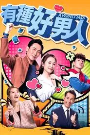 A Perfect Man tv show poster