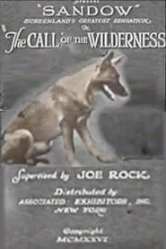 The Call of the Wilderness movie poster