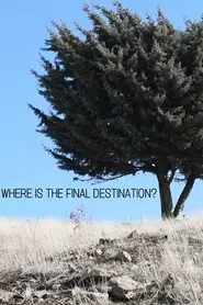 Where is the Final Destination? movie poster