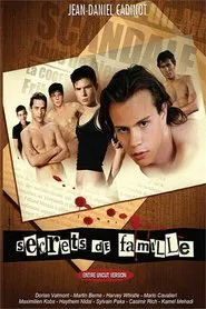 Secrets de famille movie poster