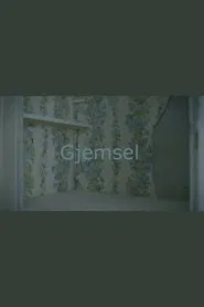 Poster do filme Hide and Seek