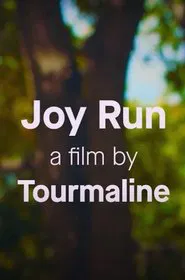 Poster do filme Joy Run