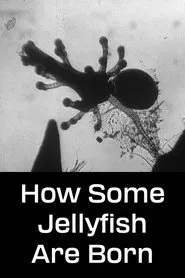 How Some Jellyfish Are Born movie poster