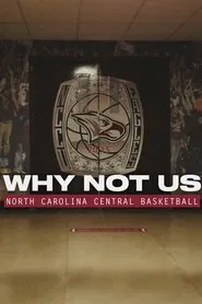 Poster da série Why Not Us