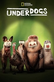 Underdogs tv show poster