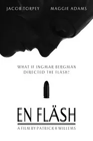 What if Ingmar Bergman Directed The Flash? movie poster