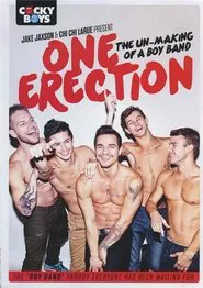 One Erection movie poster