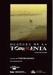 Después de la tormenta movie poster