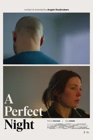 A Perfect Night movie poster