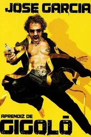 Poster do filme Aprendiz de Gigolô