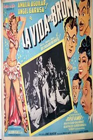 La vida en broma movie poster
