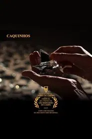 Poster do filme Caquinhos