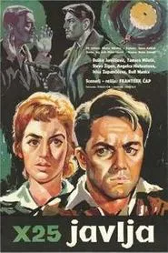 Poster do filme X-25 Reports