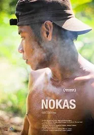Poster do filme Nokas