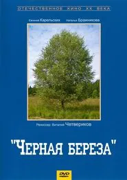 Poster do filme Black Birch