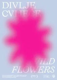 The Radiant Hill movie poster