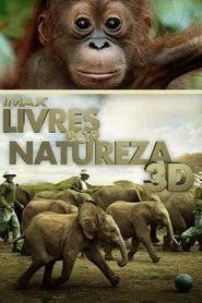 Poster do filme Livres por Natureza