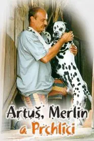 Artus, Merlin a Prchlici movie poster