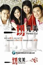 Perfect Cut tv show poster