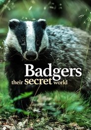 Badgers: Their Secret World movie poster