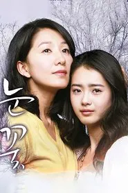 Snow Flower tv show poster