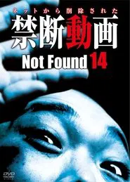 Poster do filme Not Found 14