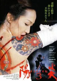 Kagerô 3 movie poster