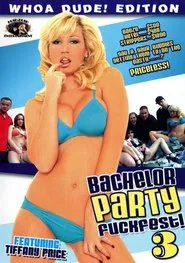 Bachelor Party Fuckfest! 3 movie poster