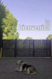 La bienvenida movie poster