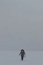 Lake movie poster
