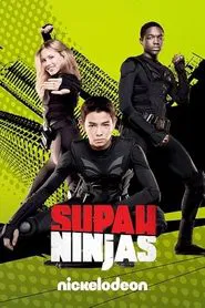 Supah Ninjas tv show poster