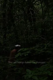 The Last Mango Before the Monsoon movie poster