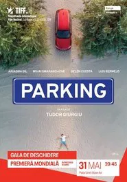 Parking movie poster