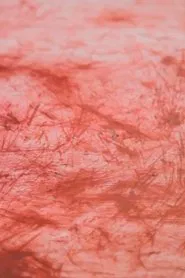 Until My Fingers Bleed movie poster