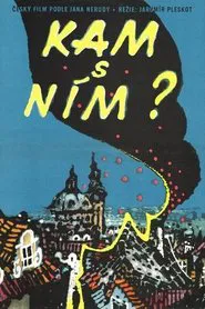 Kam s ním? movie poster