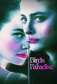 Poster do filme Pássaros de Liberdade