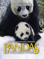 Pandas: The Journey Home movie poster
