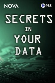 Secrets in Your Data movie poster
