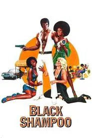 Black Shampoo movie poster