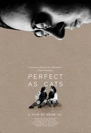 Perfect as Cats movie poster