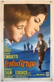 Poster do filme Testadirapa