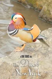 The Duck of New York movie poster