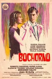 Poster do filme Bochorno