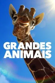 Poster da série Grandes Animais