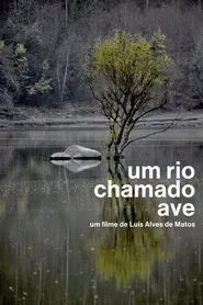 Um Rio Chamado Ave movie poster